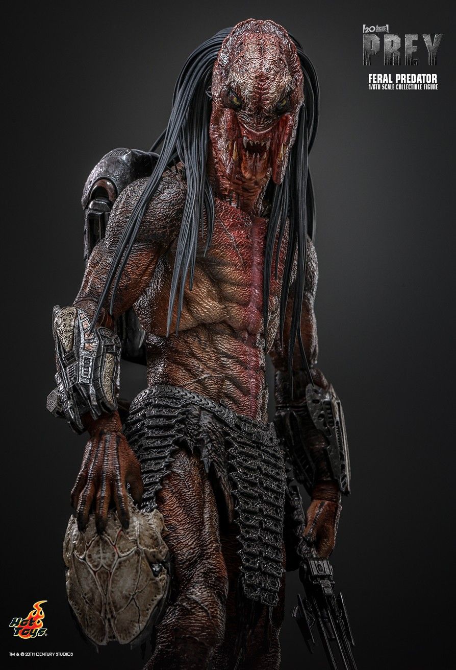 Hot Toys TMS114 - Prey 2022 - Feral Predator