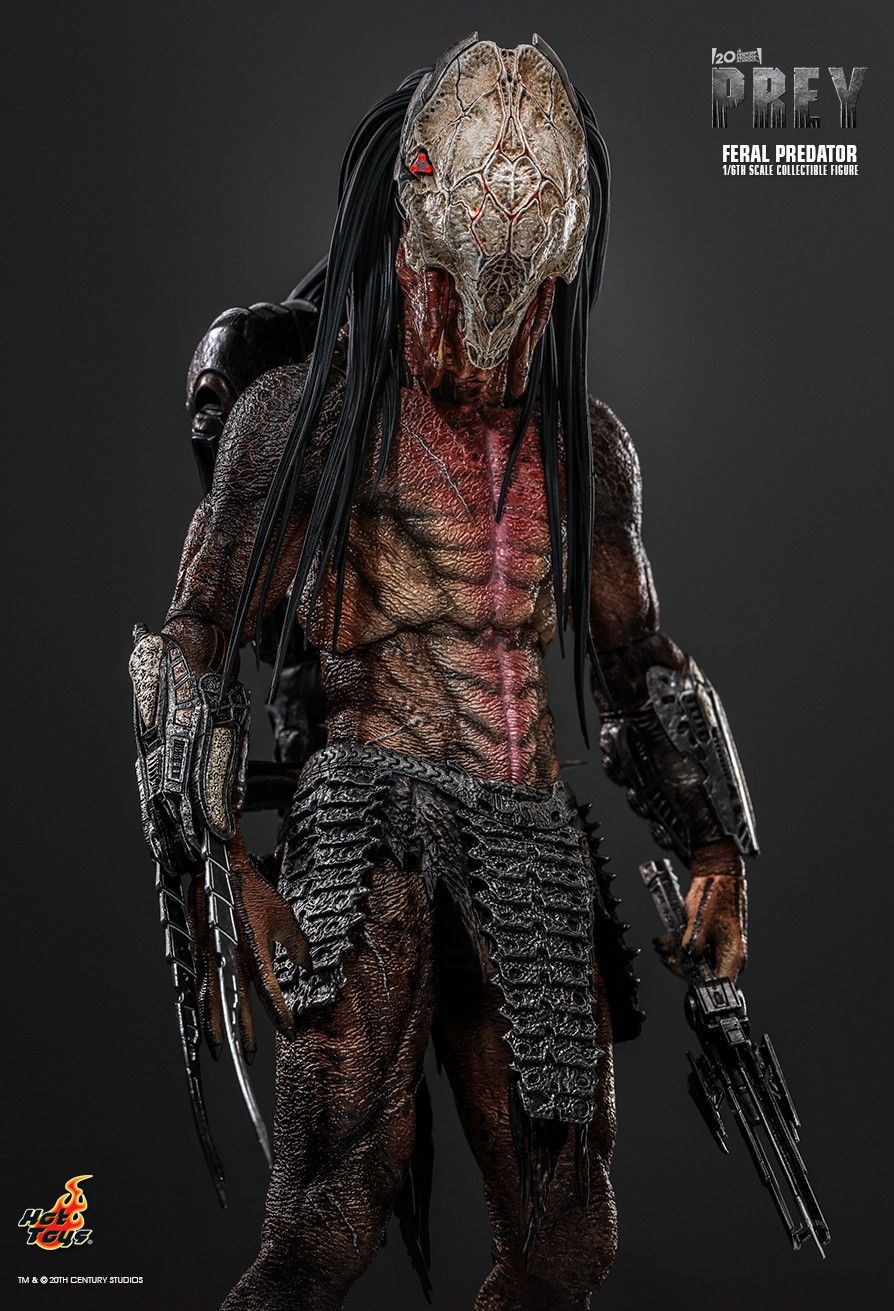 Hot Toys TMS114 - Prey 2022 - Feral Predator