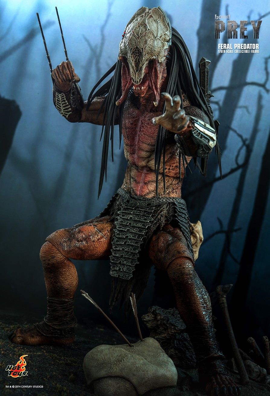 Hot Toys TMS114 - Prey 2022 - Feral Predator