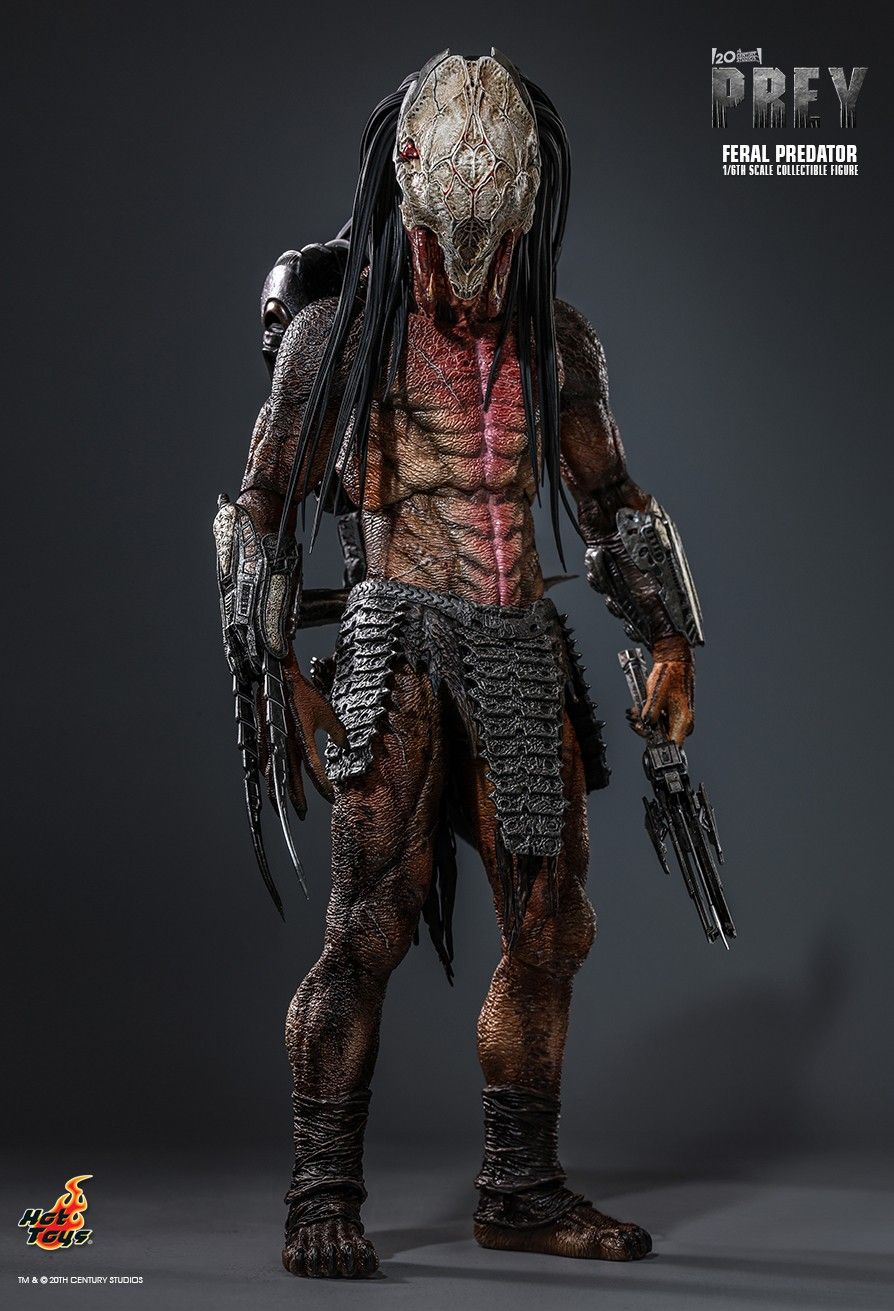 Hot Toys TMS114 - Prey 2022 - Feral Predator