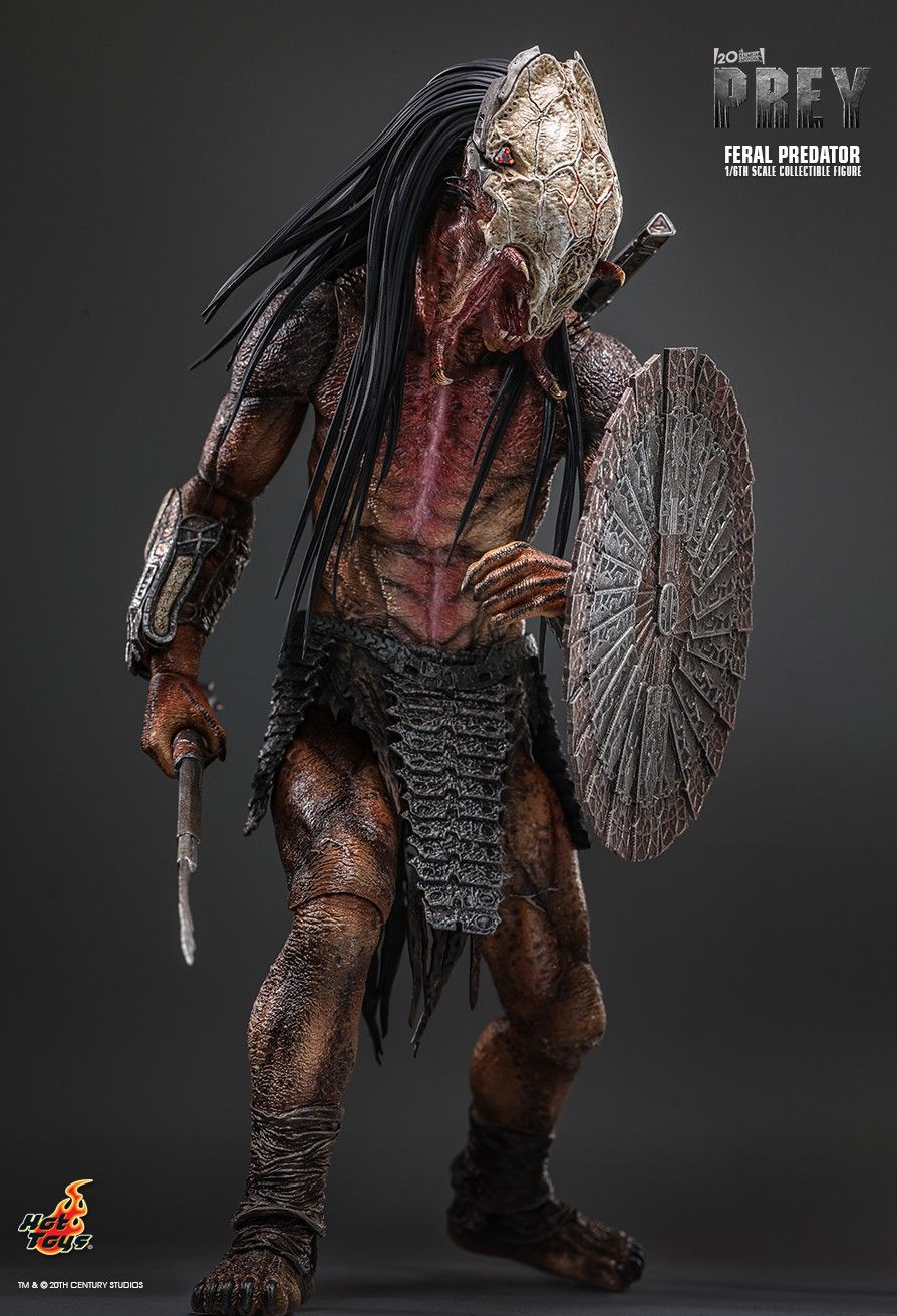 Hot Toys TMS114 - Prey 2022 - Feral Predator