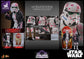 Hot Toys MMS776B - Star Wars - Stormtrooper Cherry Blossom Version