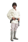 Hot Toys MMS297 - Star Wars 4 : A New Hope - Luke Skywalker Standard Version
