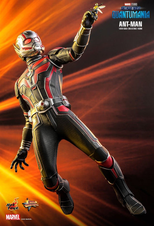 Hot Toys MMS690 - Marvel Comics - Ant Man & The Wasp : Quantumania - Ant Man