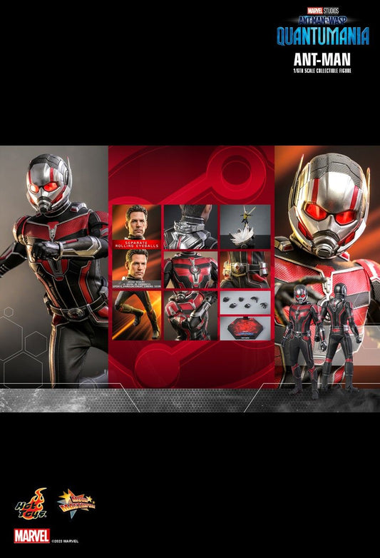 Hot Toys MMS690 - Marvel Comics - Ant Man & The Wasp : Quantumania - Ant Man