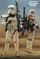 Hot Toys MMS721 - Star Wars IV : A New Hope - Sandtrooper Sergeant