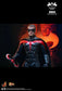 Hot Toys MMS787 - Batman & Robin - Robin【Pre-Order】