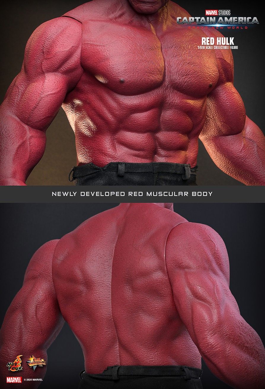Hot Toys MMS797 - Marvel Comics - Captain America : Brave New World - Red Hulk Thaddeus Ross 【Pre-Order】