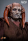 Hot Toys MMS820 - Star Wars : Revenge Of The Sith - Saesee Tiin 【Pre-Order】