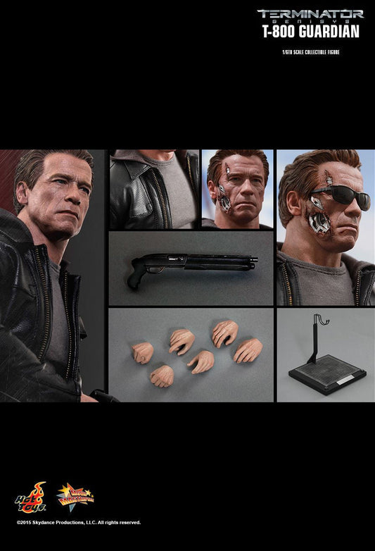 Hot Toys MMS307 - Terminator Genisys - T-800 Guardian